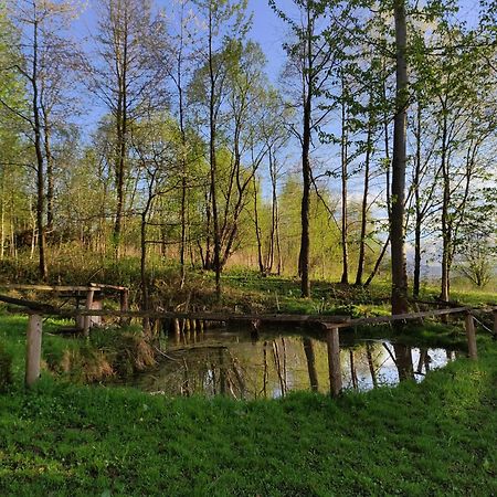 Agroturystyka Zielona Dolinka Stryszow Exteriör bild